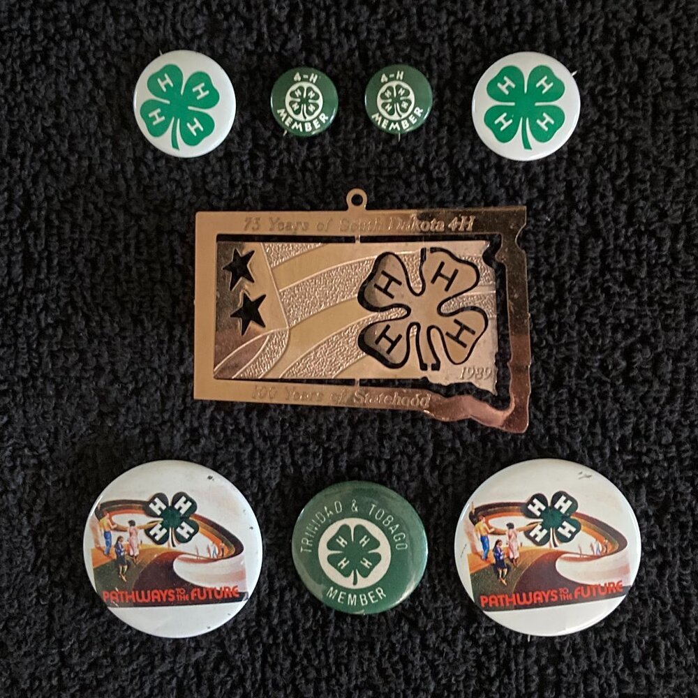 75 Years of South Dakota 4-H 3D Ornament and Vintage 4-H Pins